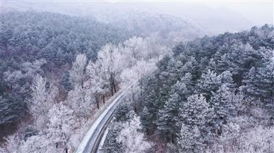 机智问答网页-智慧答案尽在十一月份有什么考试